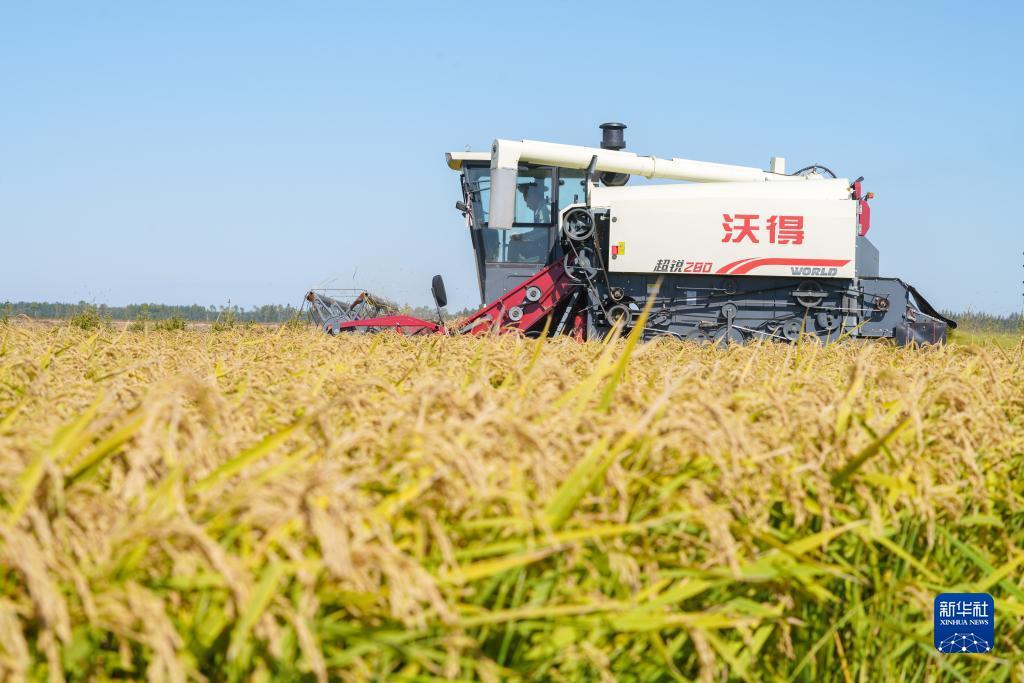 闻博评级公司